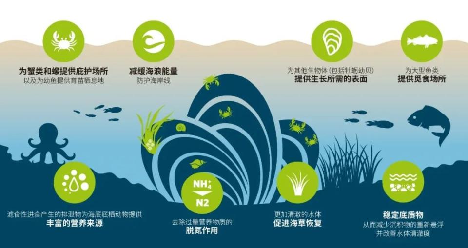 壁畫彩繪案件圖片