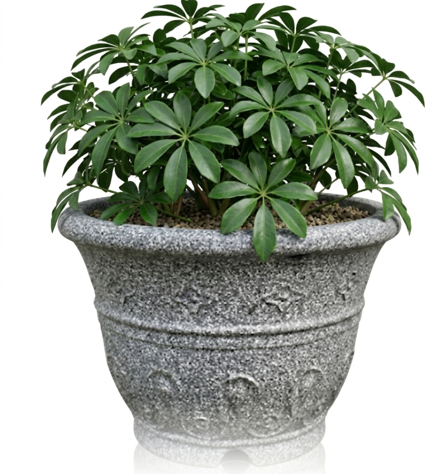 園藝維護案件圖片