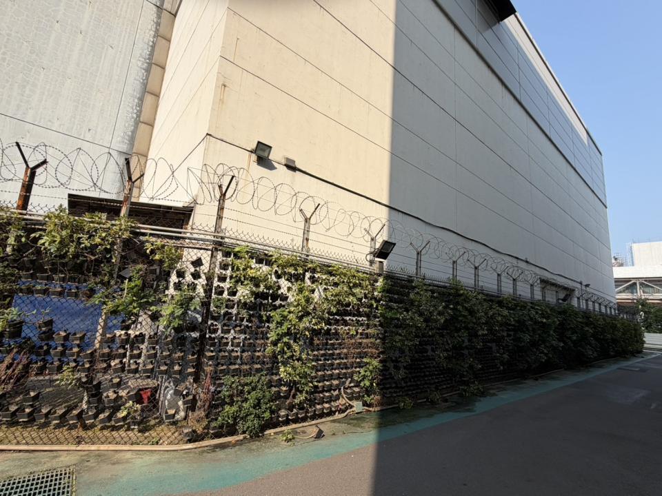 園藝維護案件圖片