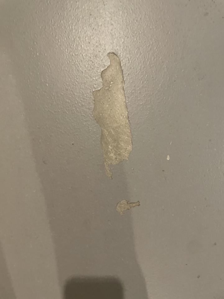 環氧樹脂地板案件圖片