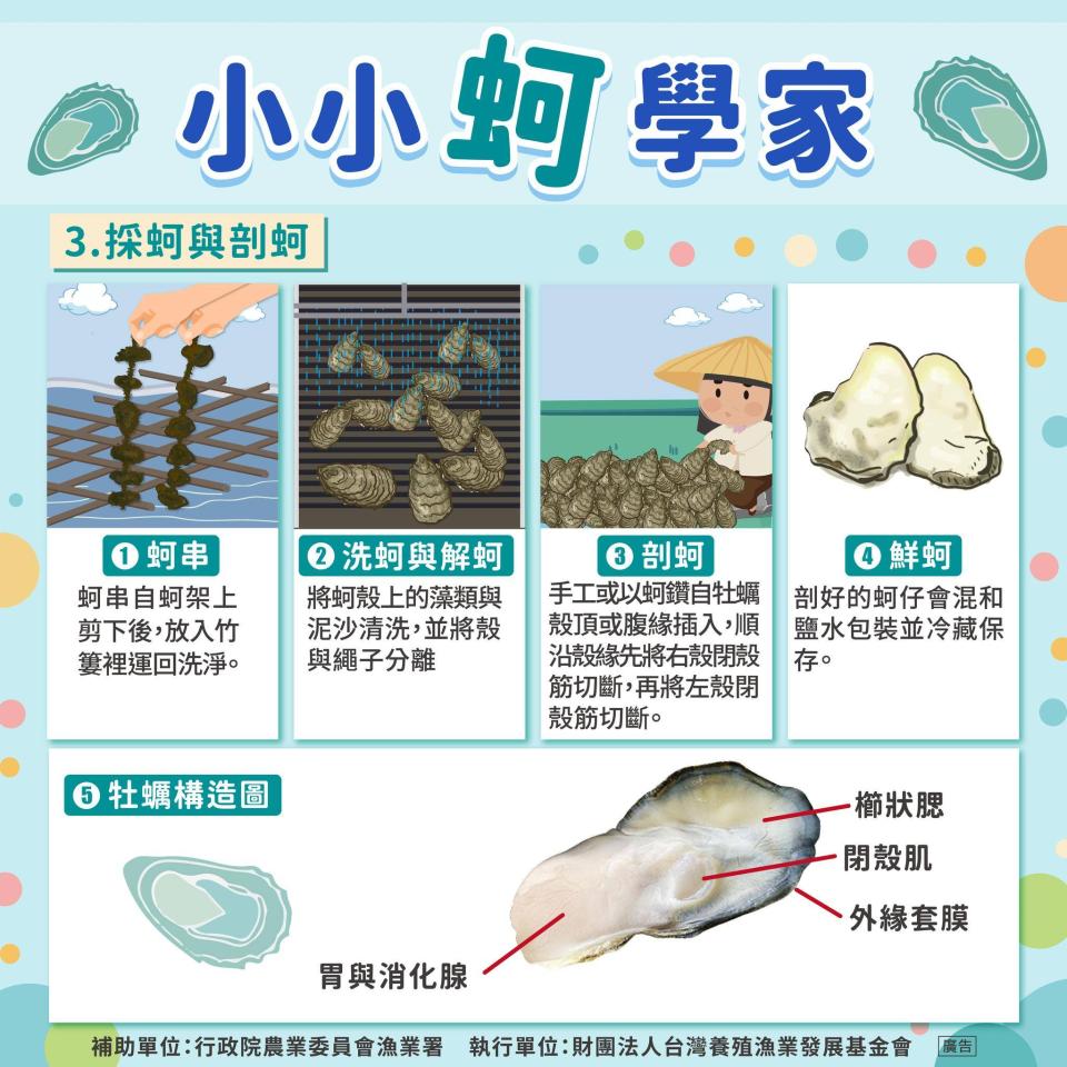 壁畫彩繪案件圖片