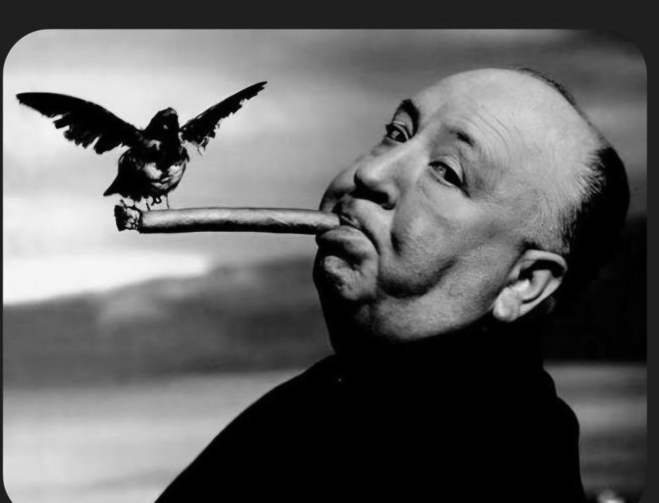 人像攝影案件圖片