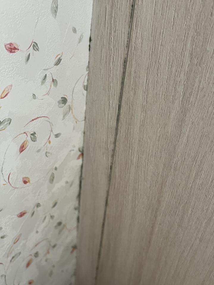 漏水處理案件圖片