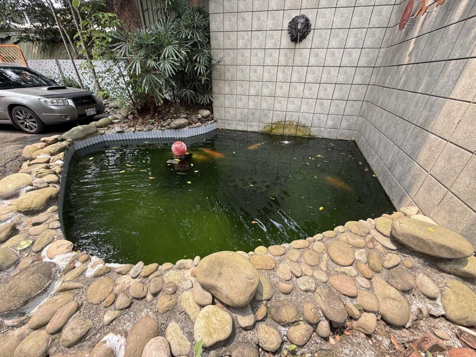 魚缸設計案件圖片