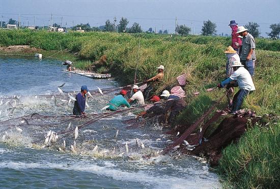 壁畫彩繪案件圖片