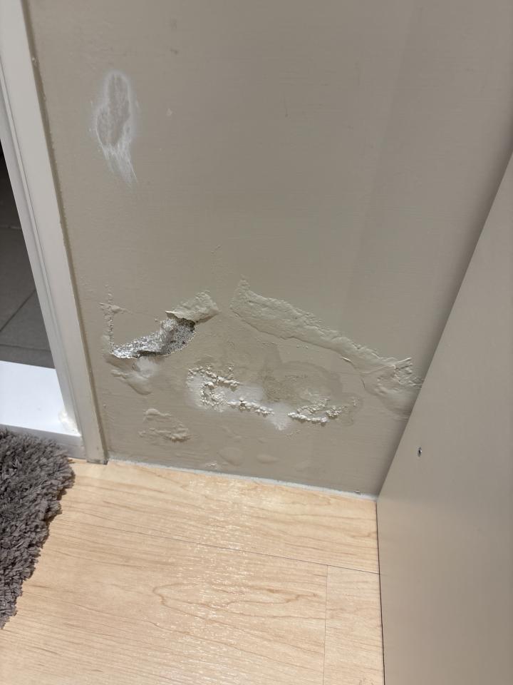 漏水處理案件圖片