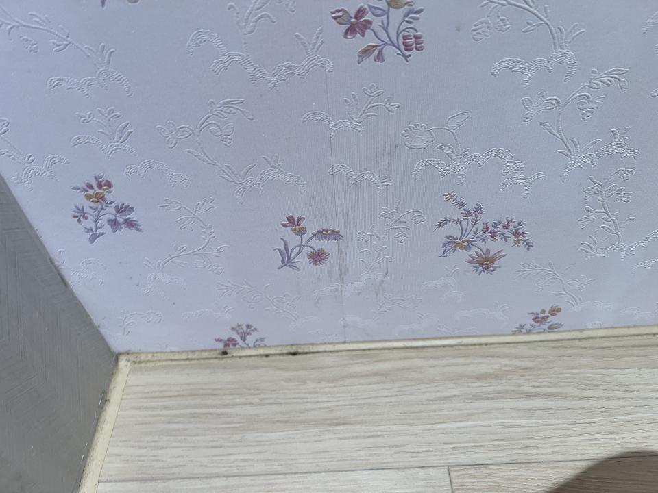 漏水處理案件圖片