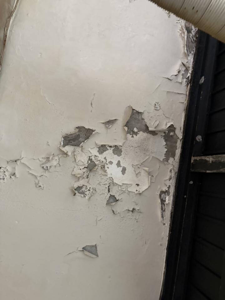 油漆工程案件圖片