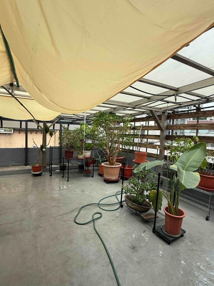 花園自動灑水系統案件圖片