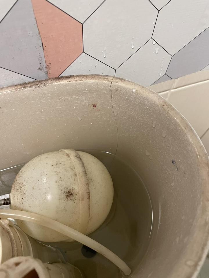 馬桶裝修案件圖片