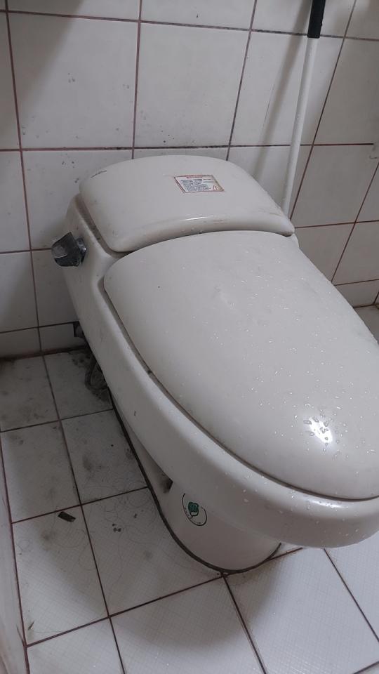 馬桶裝修案件圖片