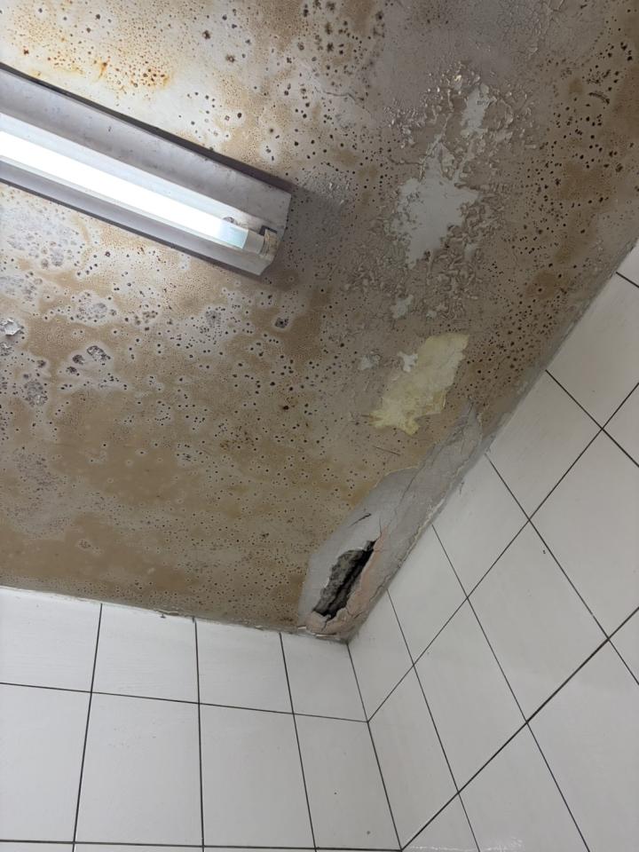 油漆工程案件圖片