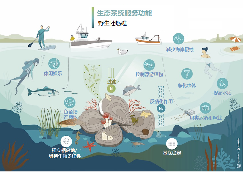 壁畫彩繪案件圖片