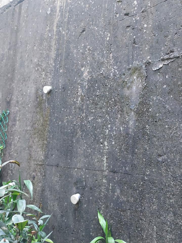 高壓清洗服務案件圖片