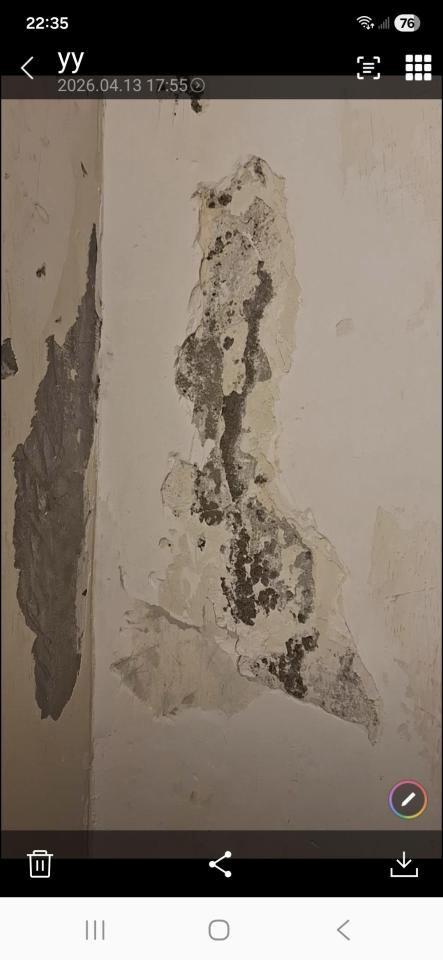 壁癌處理案件圖片