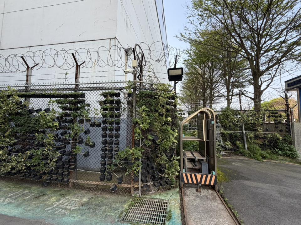 園藝維護案件圖片