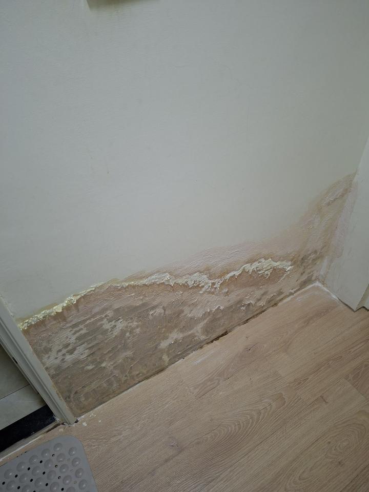 壁癌處理案件圖片