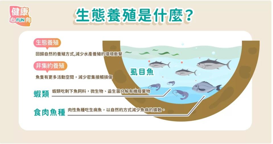 壁畫彩繪案件圖片