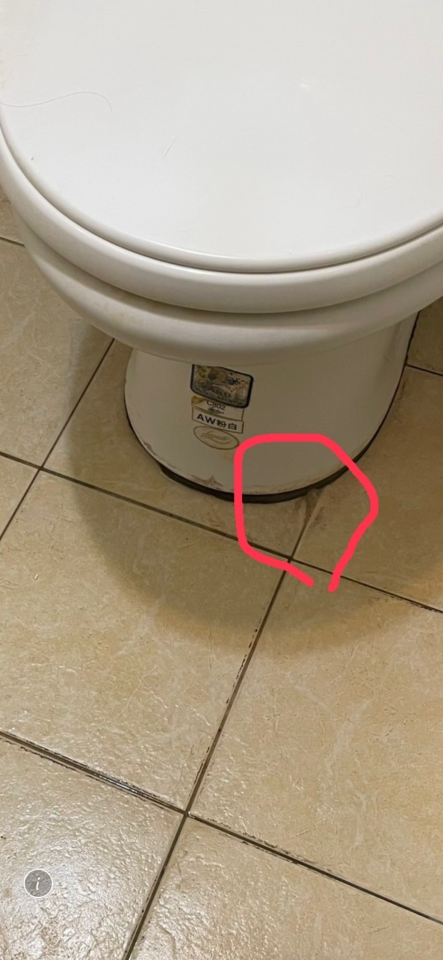 馬桶裝修案件圖片