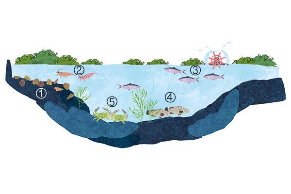 壁畫彩繪案件圖片