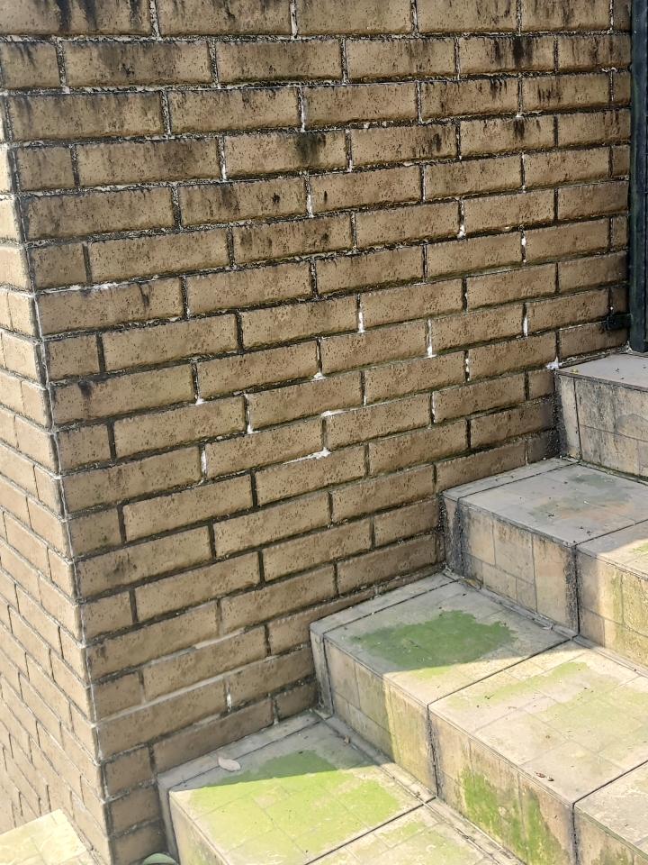 高壓清洗服務案件圖片