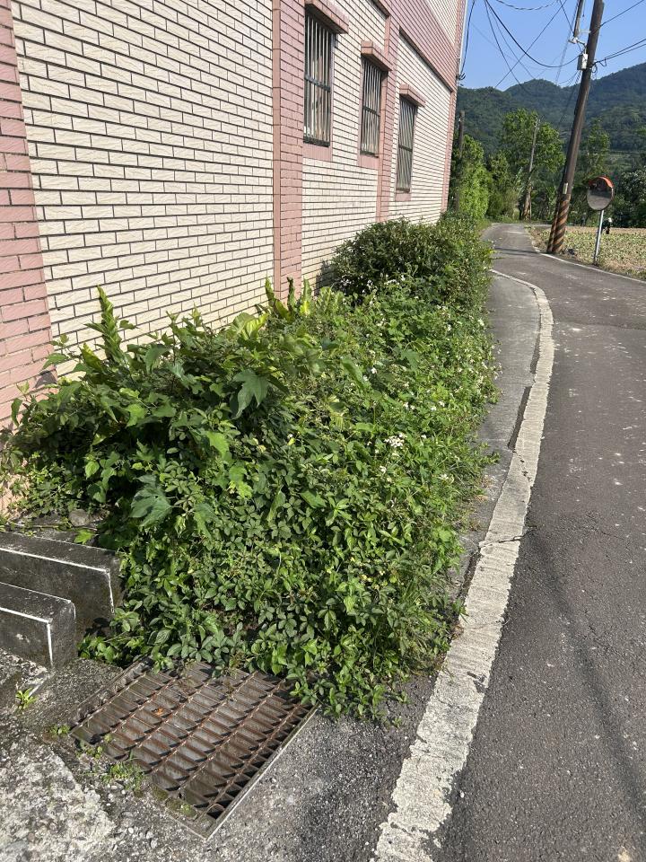 園藝設計案件圖片