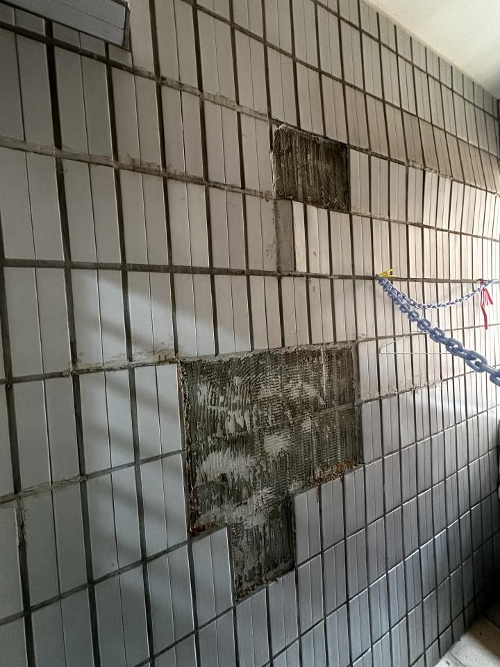 外牆拉皮案件圖片