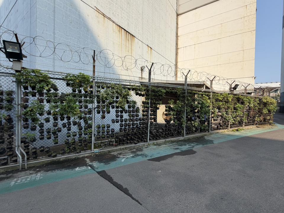 園藝維護案件圖片