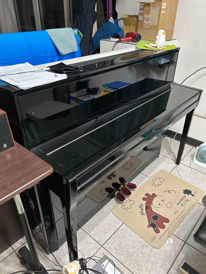 鋼琴搬運案件圖片