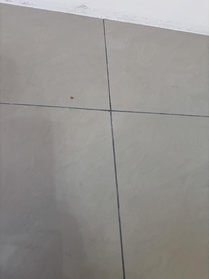 磁磚修補案件圖片