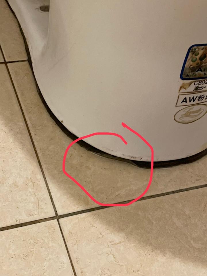 馬桶裝修案件圖片