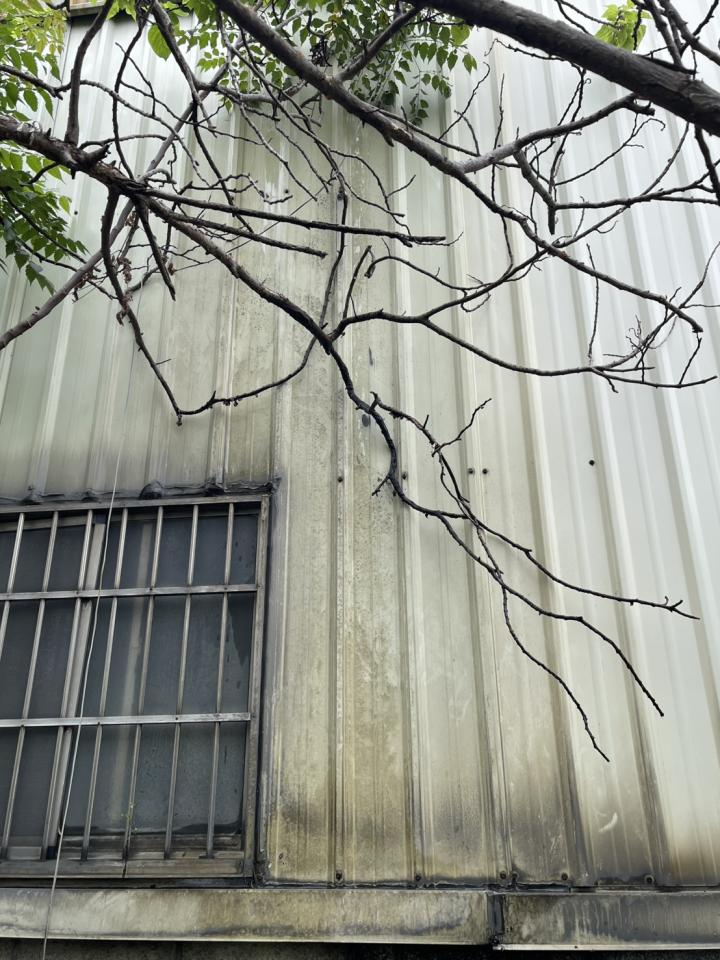 鐵皮屋頂案件圖片