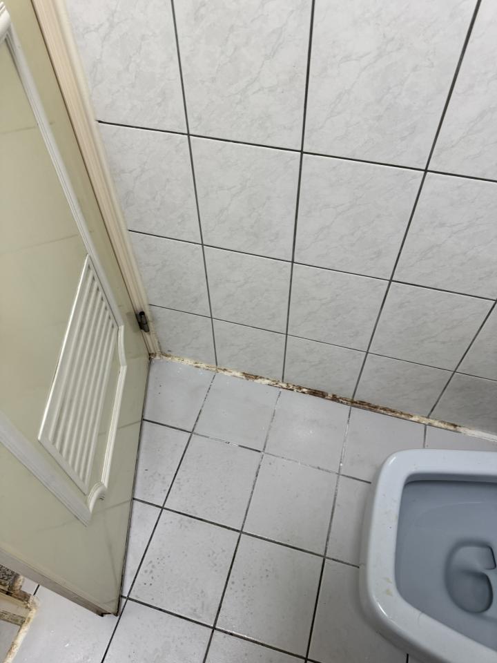 矽利康工程案件圖片