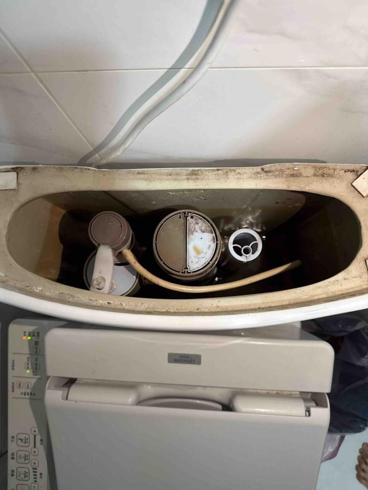 馬桶裝修案件圖片