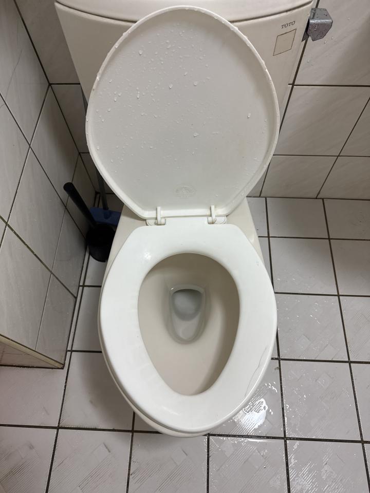 馬桶裝修案件圖片