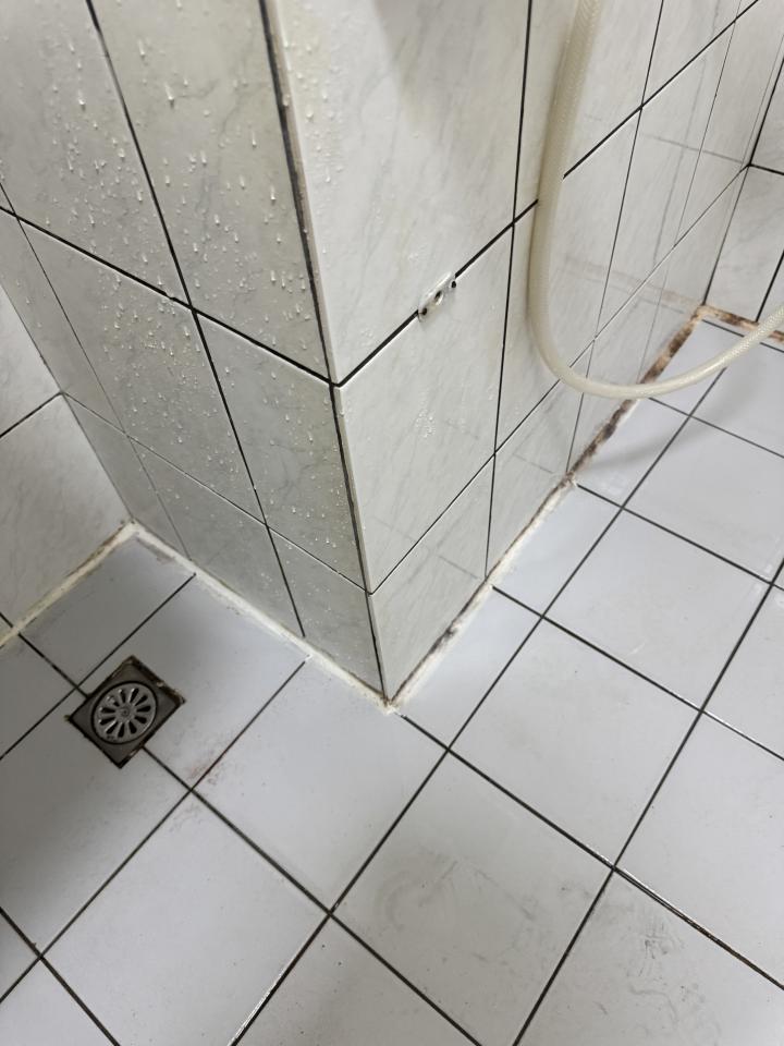 矽利康工程案件圖片