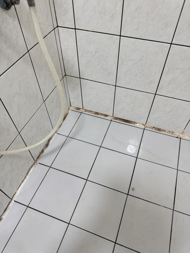 矽利康工程案件圖片