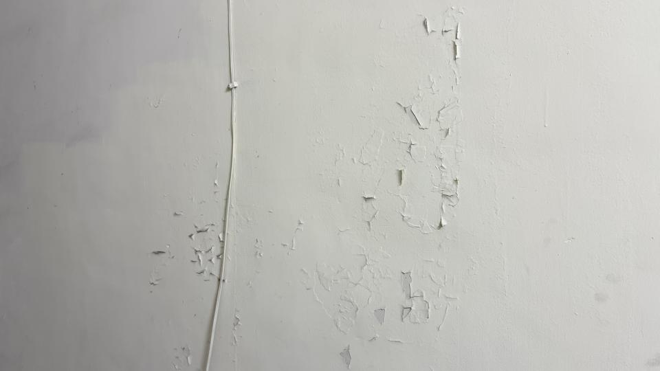 壁癌處理案件圖片