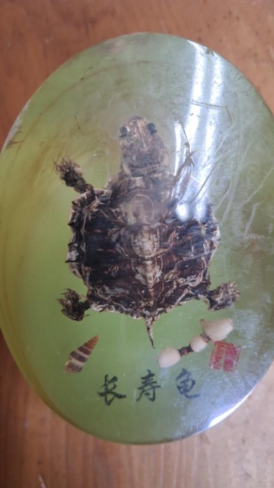 大型家具回收案件圖片