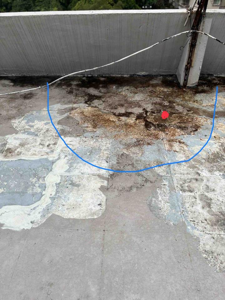 屋頂排水案件圖片