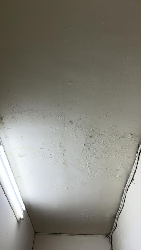 壁癌處理案件圖片