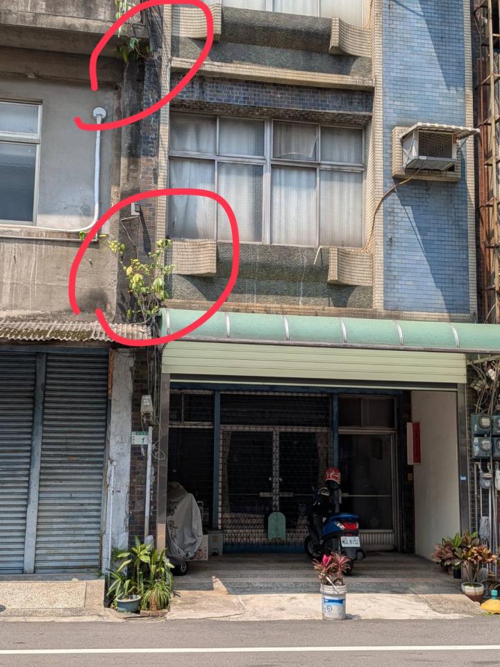 園藝維護案件圖片