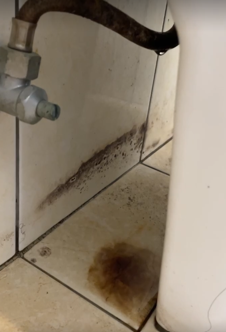 馬桶裝修案件圖片