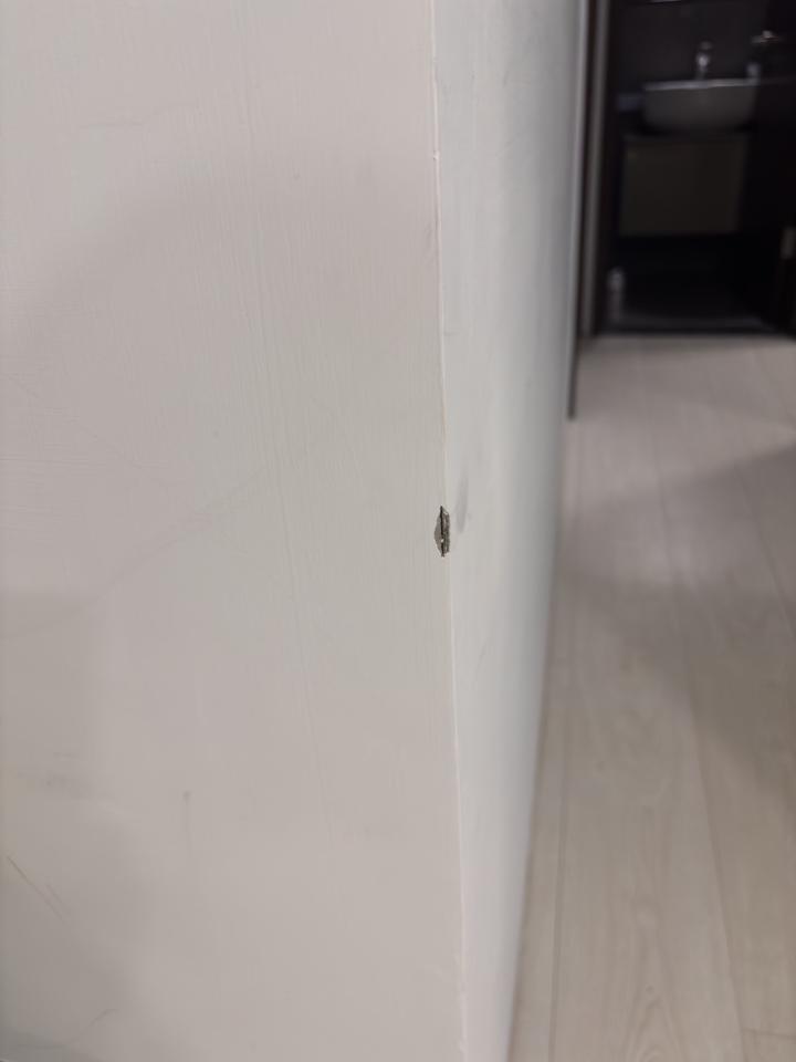 油漆工程案件圖片