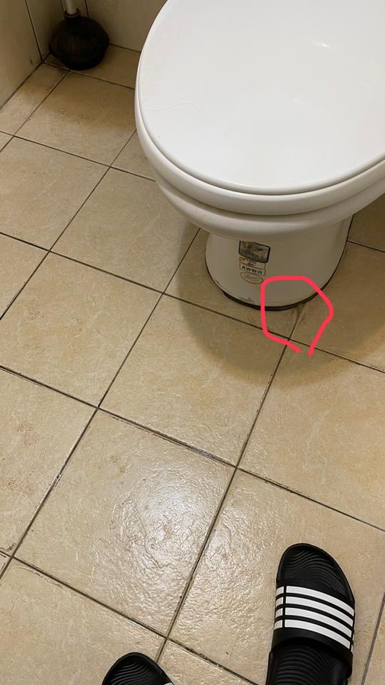 馬桶裝修案件圖片