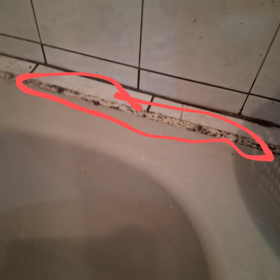 浴缸與淋浴裝修案件圖片