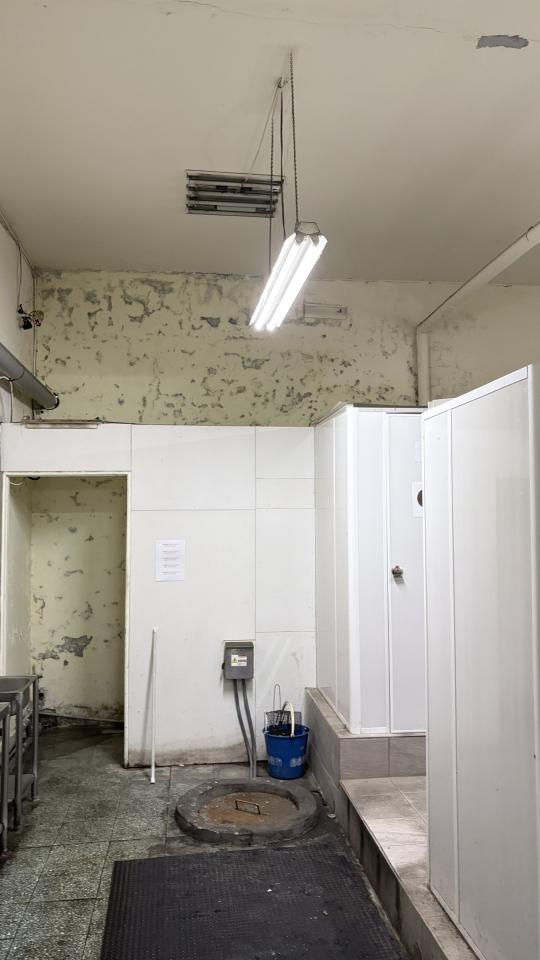 壁癌處理案件圖片