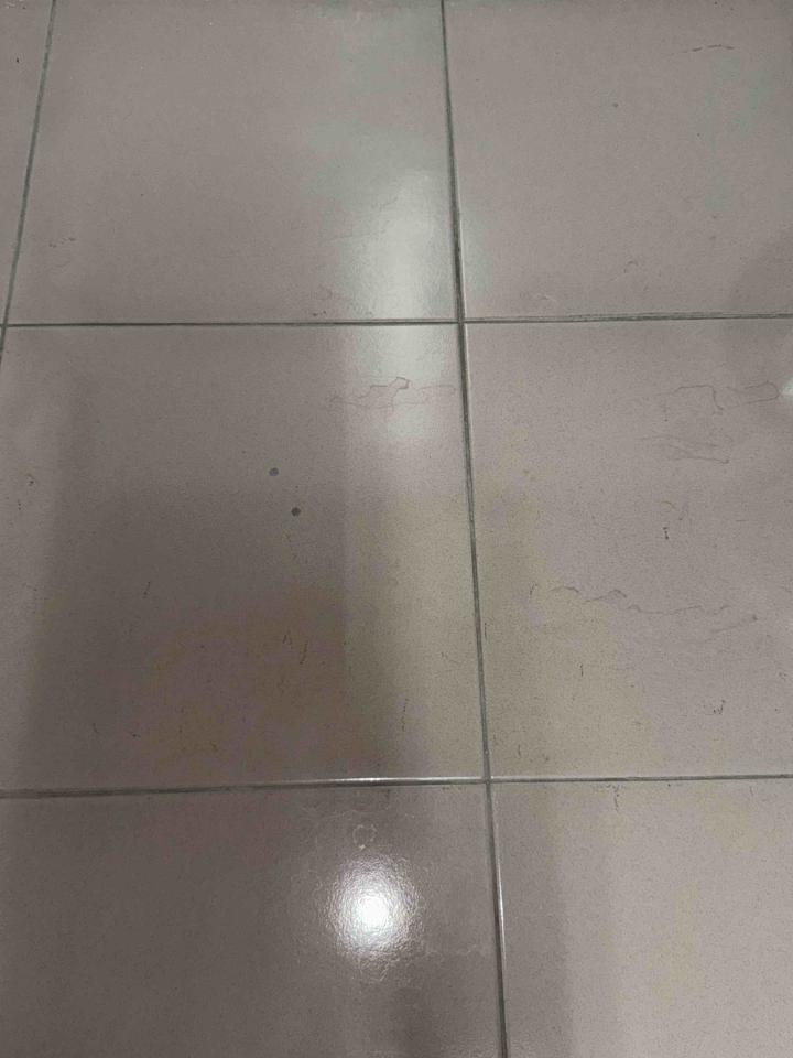 地板止滑案件圖片