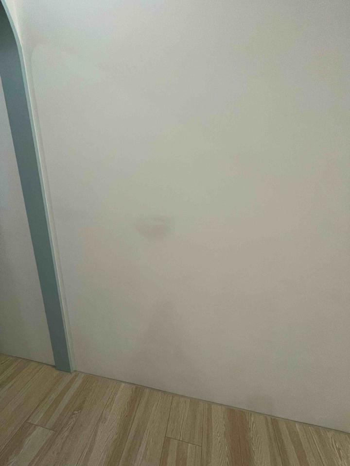 油漆工程案件圖片