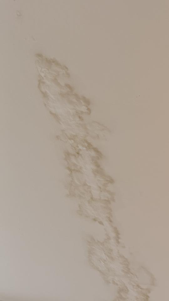 屋頂防水案件圖片